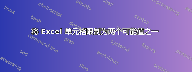 将 Excel 单元格限制为两个可能值之一