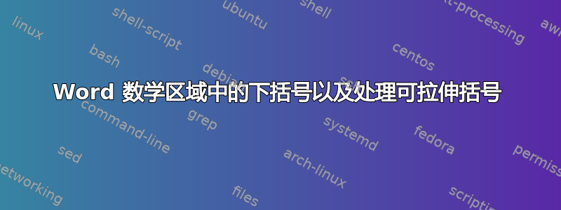 Word 数学区域中的下括号以及处理可拉伸括号