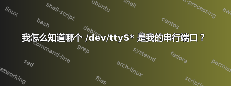 我怎么知道哪个 /dev/ttyS* 是我的串行端口？