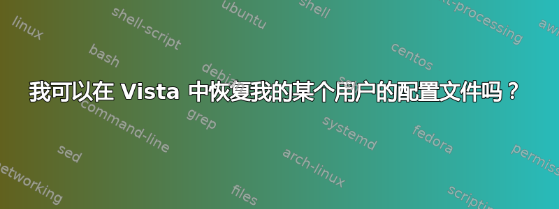 我可以在 Vista 中恢复我的某个用户的配置文件吗？