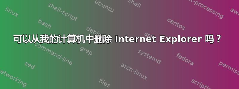 可以从我的计算机中删除 Internet Explorer 吗？