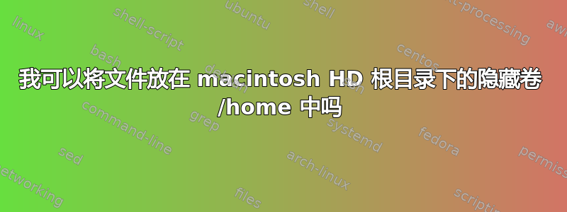 我可以将文件放在 macintosh HD 根目录下的隐藏卷 /home 中吗