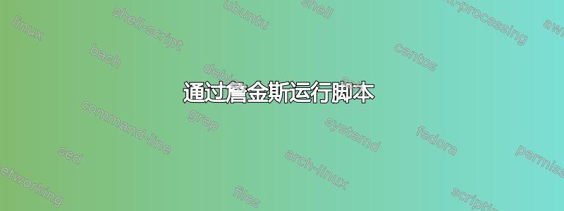 通过詹金斯运行脚本