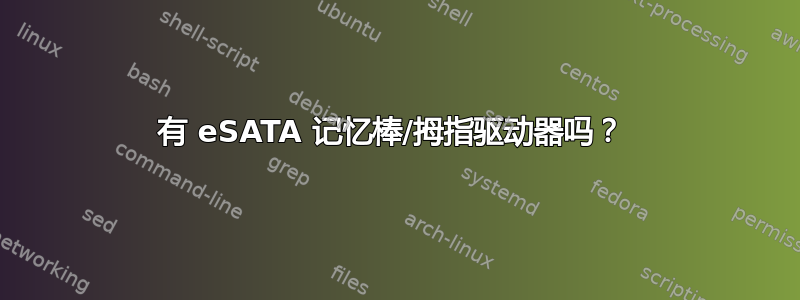 有 eSATA 记忆棒/拇指驱动器吗？ 