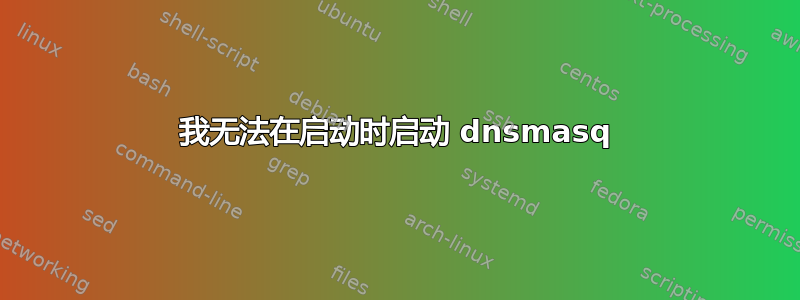 我无法在启动时启动 dnsmasq