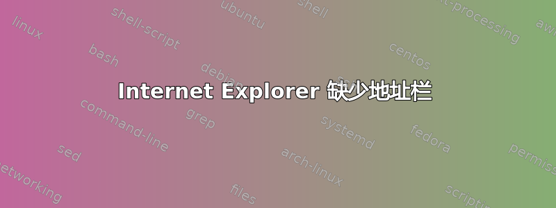 Internet Explorer 缺少地址栏