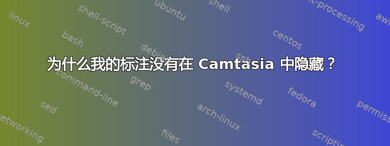 为什么我的标注没有在 Camtasia 中隐藏？