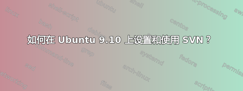 如何在 Ubuntu 9.10 上设置和使用 SVN？