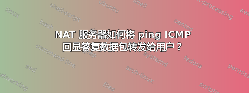 NAT 服务器如何将 ping ICMP 回显答复数据包转发给用户？