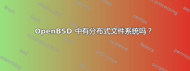 OpenBSD 中有分布式文件系统吗？