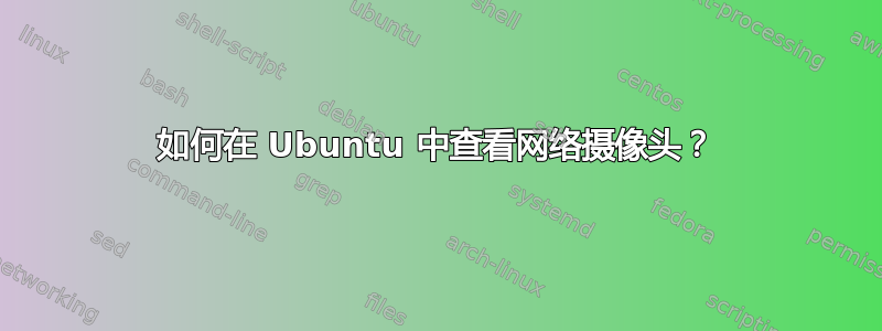 如何在 Ubuntu 中查看网络摄像头？