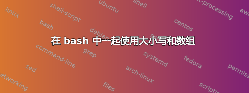 在 bash 中一起使用大小写和数组