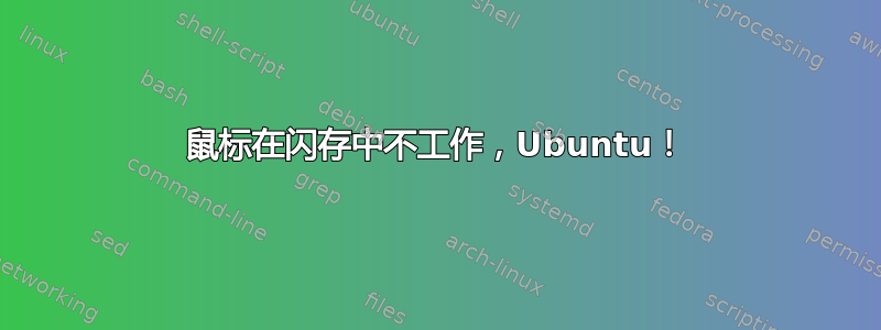 鼠标在闪存中不工作，Ubuntu！