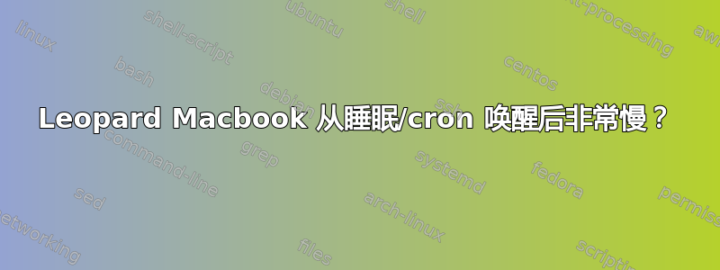 Leopard Macbook 从睡眠/cron 唤醒后非常慢？