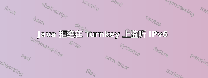 Java 拒绝在 Turnkey 上监听 IPv6