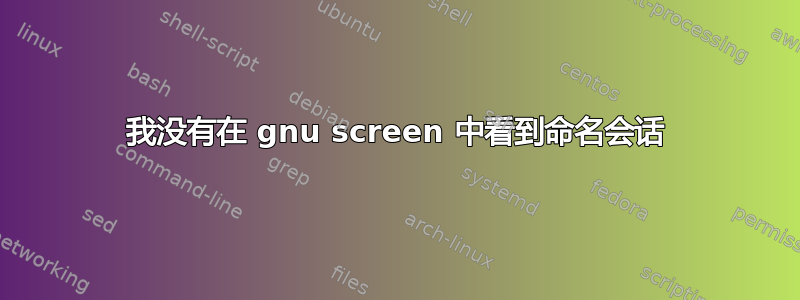 我没有在 gnu screen 中看到命名会话