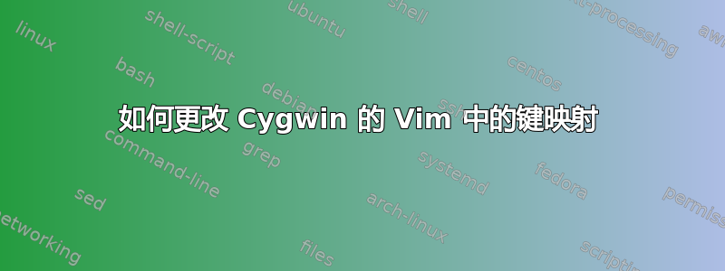 如何更改 Cygwin 的 Vim 中的键映射