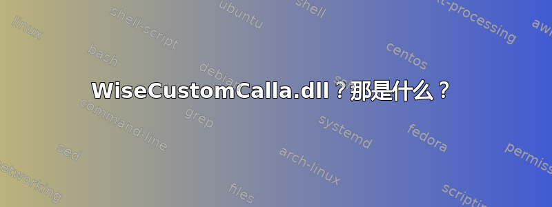 WiseCustomCalla.dll？那是什么？