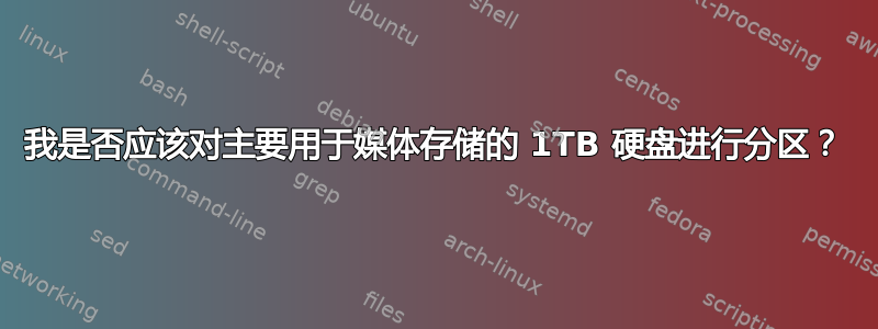 我是否应该对主要用于媒体存储的 1TB 硬盘进行分区？