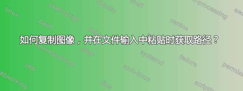 如何复制图像，并在文件输入中粘贴时获取路径？