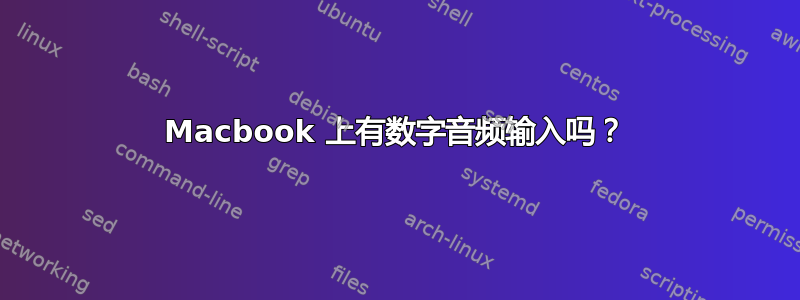 Macbook 上有数字音频输入吗？