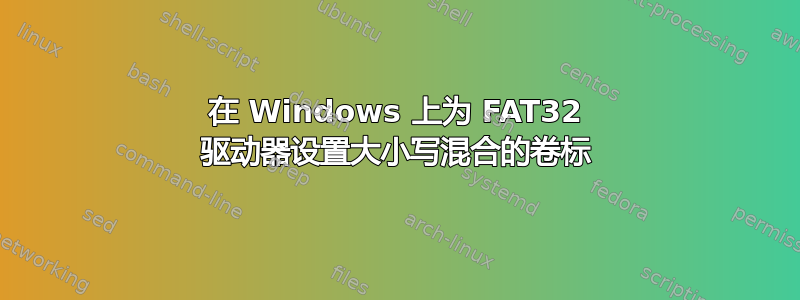 在 Windows 上为 FAT32 驱动器设置大小写混合的卷标