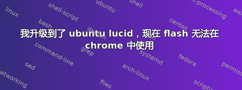 我升级到了 ubuntu lucid，现在 flash 无法在 chrome 中使用