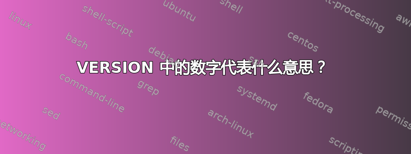 VERSION 中的数字代表什么意思？