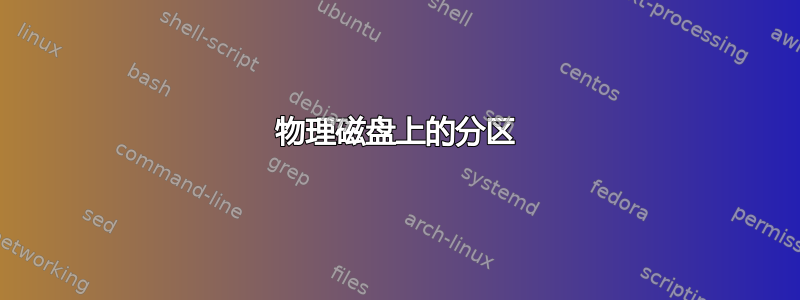 物理磁盘上的分区