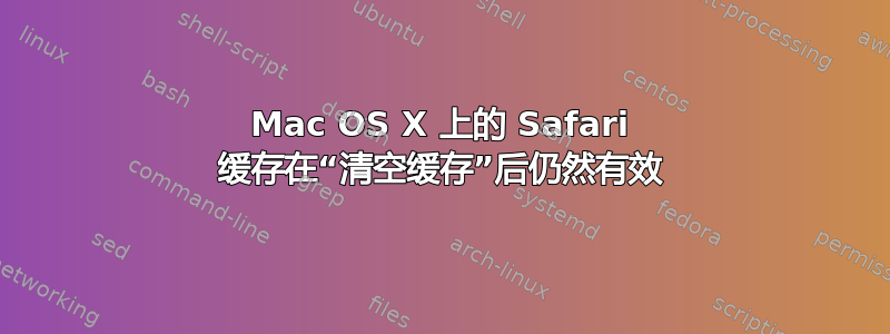 Mac OS X 上的 Safari 缓存在“清空缓存”后仍然有效