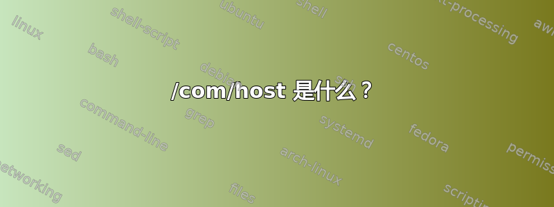 /com/host 是什么？