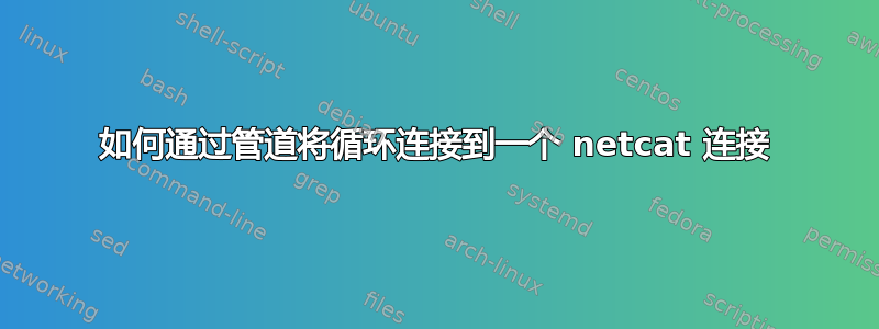 如何通过管道将循环连接到一个 netcat 连接