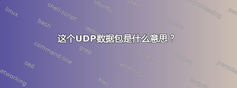 这个UDP数据包是什么意思？