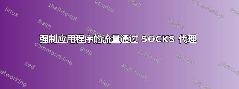 强制应用程序的流量通过 SOCKS 代理