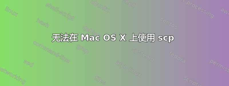 无法在 Mac OS X 上使用 scp