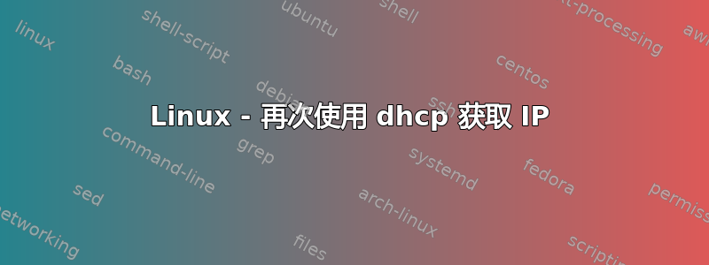 Linux - 再次使用 dhcp 获取 IP