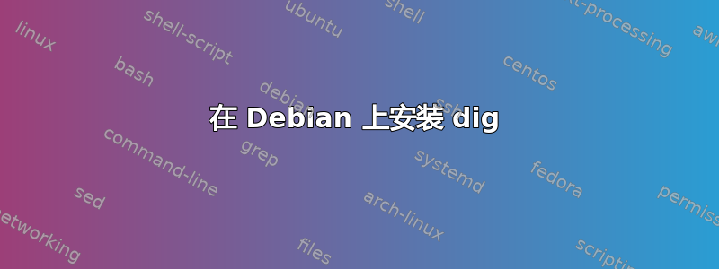 在 Debian 上安装 dig