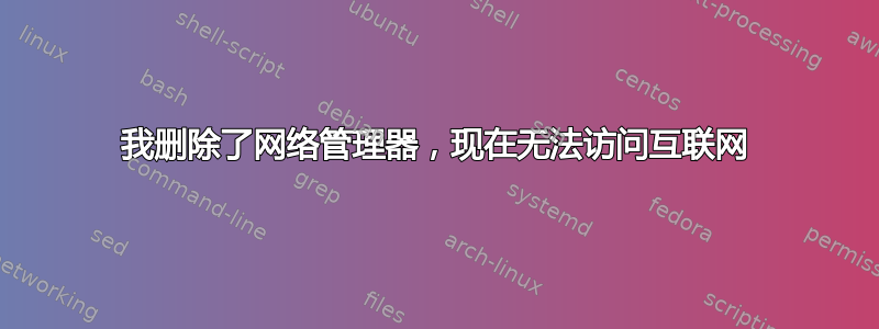 我删除了网络管理器，现在无法访问互联网