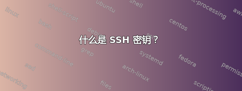 什么是 SSH 密钥？