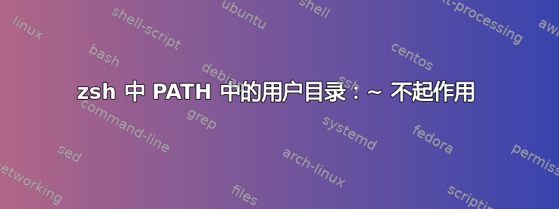 zsh 中 PATH 中的用户目录：~ 不起作用