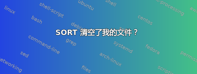 SORT 清空了我的文件？