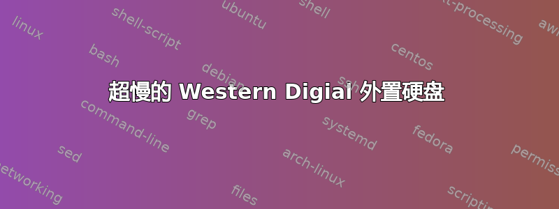 超慢的 Western Digial 外置硬盘