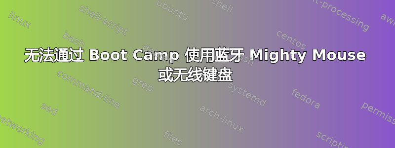 无法通过 Boot Camp 使用蓝牙 Mighty Mouse 或无线键盘