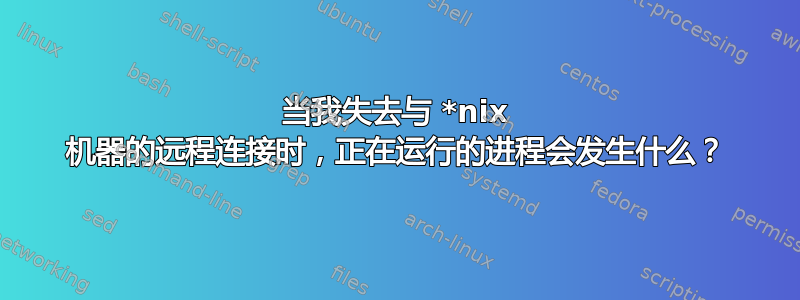 当我失去与 *nix 机器的远程连接时，正在运行的进程会发生什么？