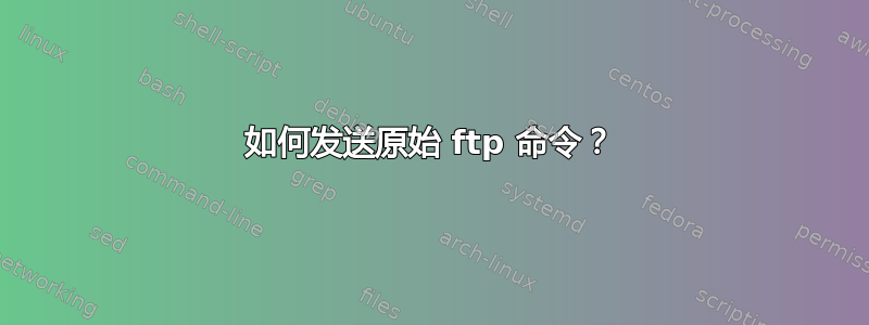 如何发送原始 ftp 命令？