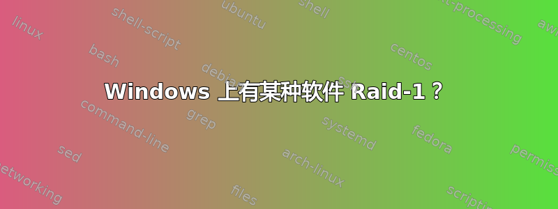 Windows 上有某种软件 Raid-1？