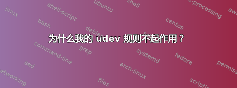 为什么我的 udev 规则不起作用？