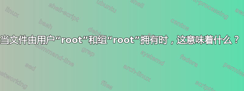 当文件由用户“root”和组“root”拥有时，这意味着什么？