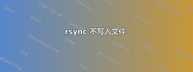 rsync 不写入文件