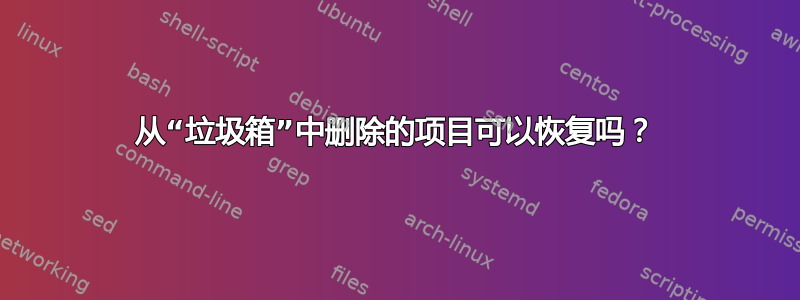 从“垃圾箱”中删除的项目可以恢复吗？